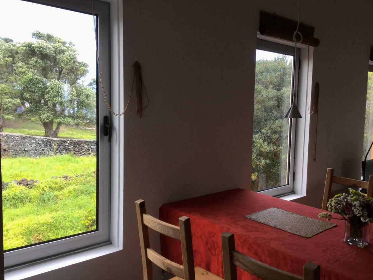 Quinta da Falésia - Casa Amarela Ponta Delgada - Açores Exterior foto