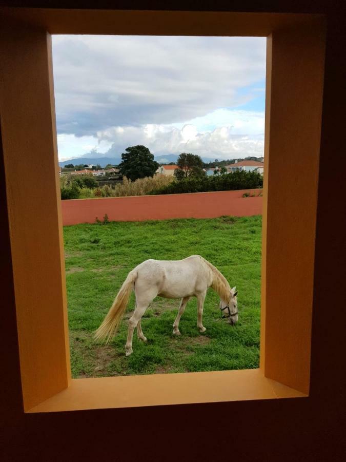 Quinta da Falésia - Casa Amarela Ponta Delgada - Açores Exterior foto
