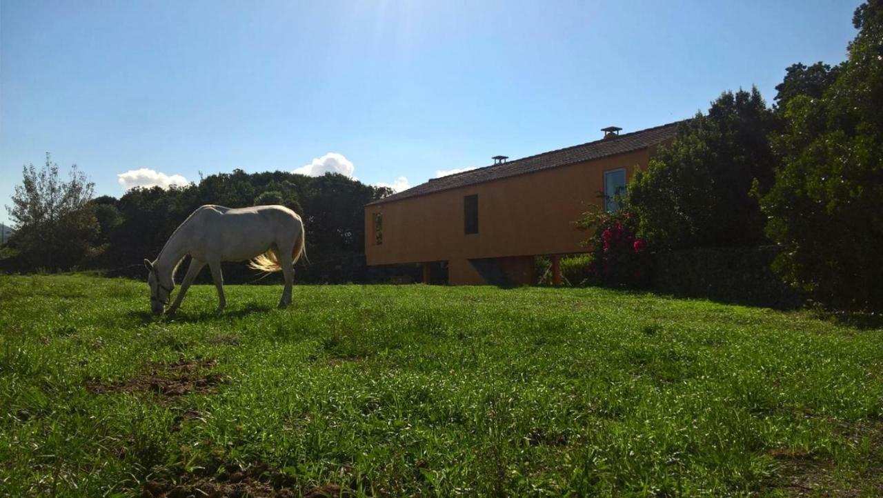 Quinta da Falésia - Casa Amarela Ponta Delgada - Açores Exterior foto