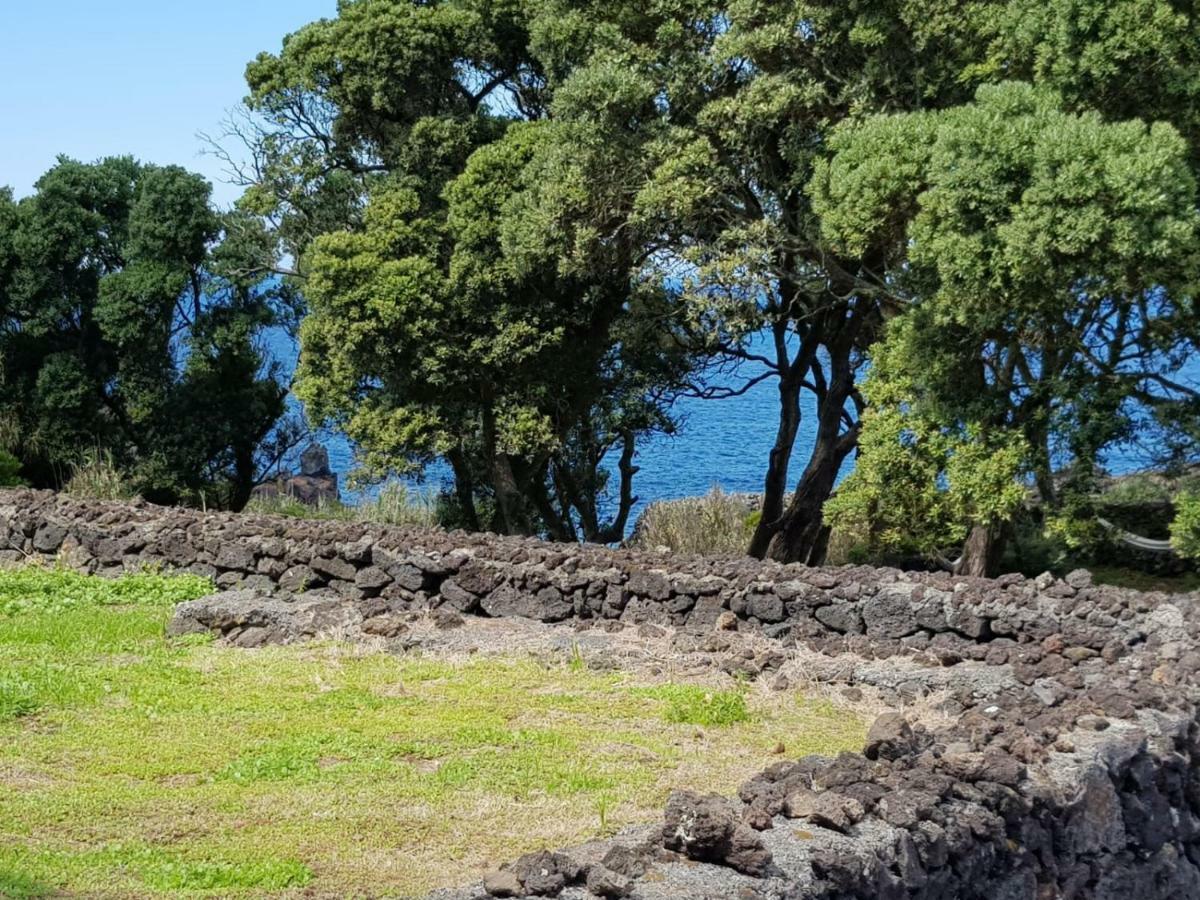 Quinta da Falésia - Casa Amarela Ponta Delgada - Açores Exterior foto