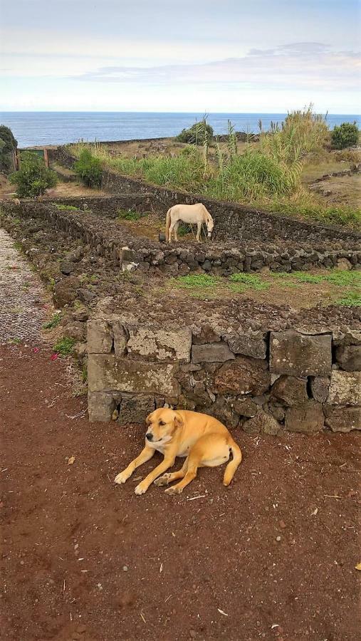 Quinta da Falésia - Casa Amarela Ponta Delgada - Açores Exterior foto